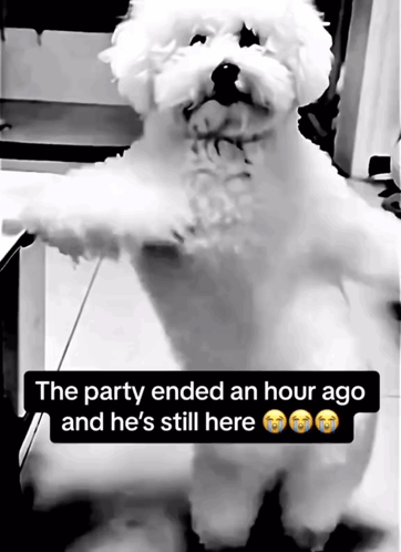 Dancing Big Dawg GIF