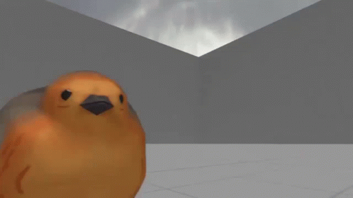 Dancing Bird European Robin Human Feet GIF