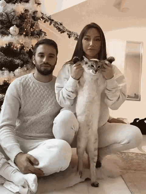 Dancing Cat Coco Lili GIF