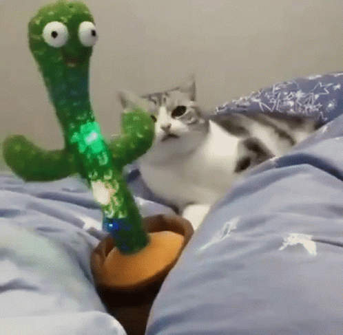 Dancing Cat Shaking Toy Cactus GIF