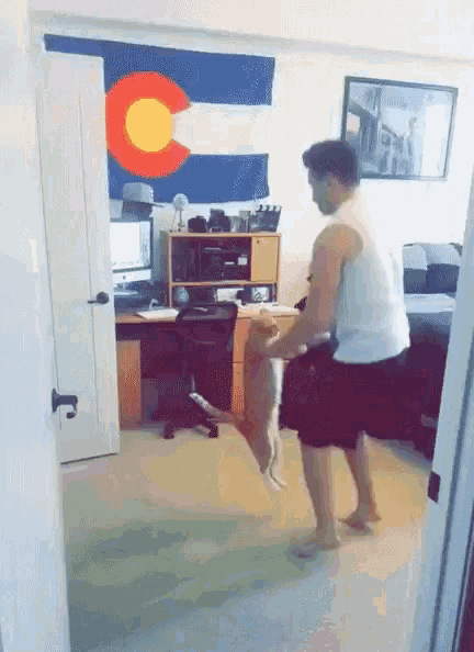 Dancing Cat With Guy Owner GIF