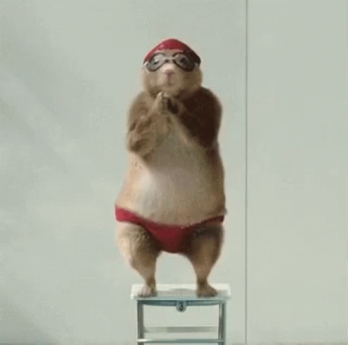 Dancing Chipmunk Diving GIF