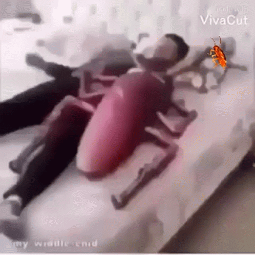 Dancing Cockroach 498 X 498 Gif GIF