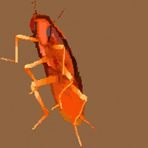 Rgb Roach Dancing Cockroach GIF