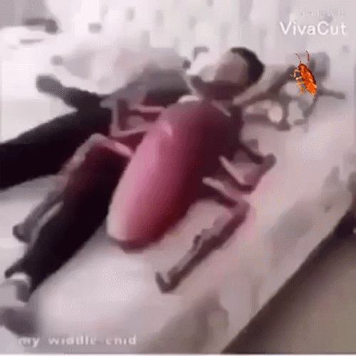 Dancing Cockroach GIF