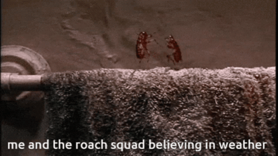Dancing Cockroach Squad GIF