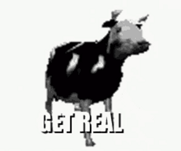 Dancing Cow Get Real Meme GIF