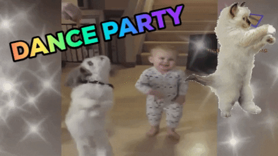 Dancing Dog Dance Party GIF