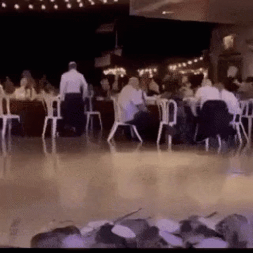 Dancing Dog in Restaurant with People
