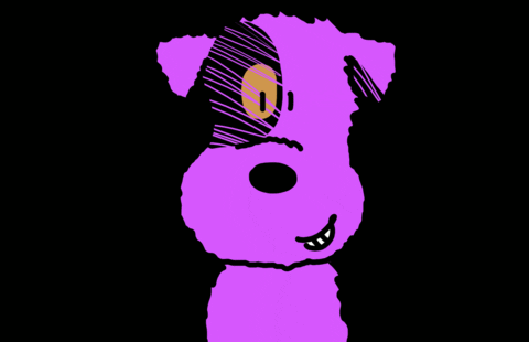 Dancing Dog Meme Cute Cartoon GIF