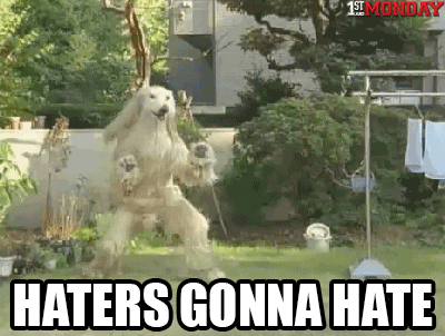 Dancing Dog Meme Haters Gonna Hate GIF