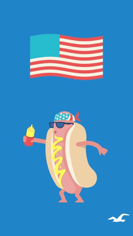 Dancing Dog Meme Hotdog America GIF