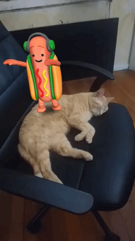 Dancing Dog Meme Hotdog Filter GIF