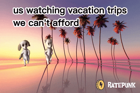 Dancing Dog Watching Vacation Trips Meme GIF