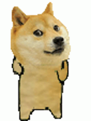 Dancing Doge Meme GIF