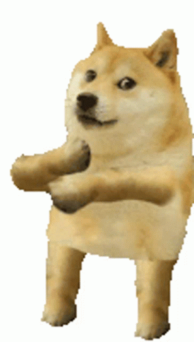 Dancing Doge Stare GIF
