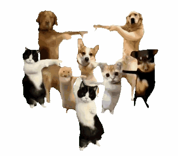 Dancing Doge With Friends GIF