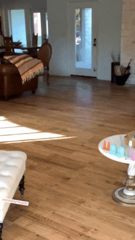 Dancing Girl Inside The Living Room GIF