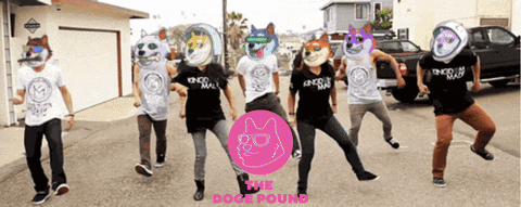 Dancing Guys Dog Meme GIF