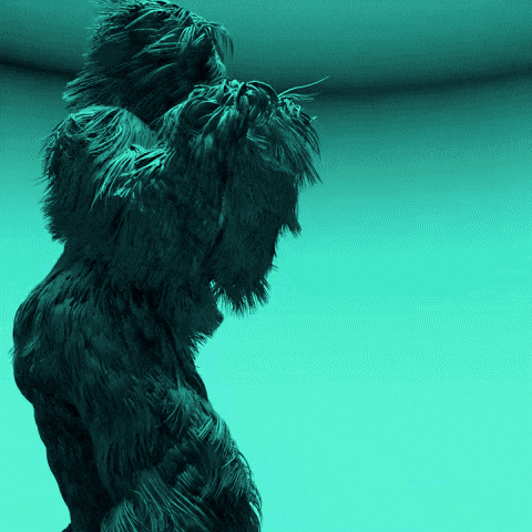 Dancing Hairy Costume Chewbacca GIF