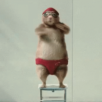Dancing Hamster Funny Animal GIF