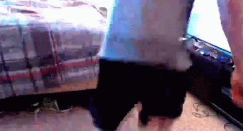 Dancing Ickey Shuffle In Front Of Tv GIF