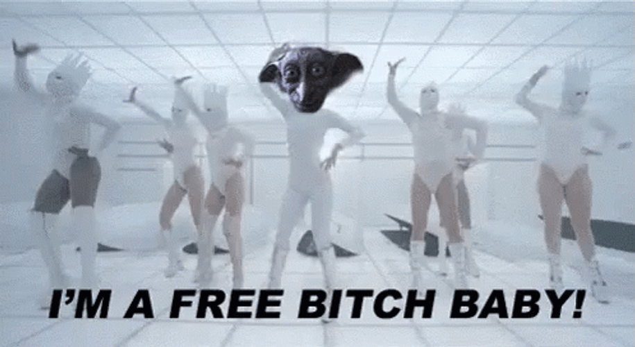 Dancing Lady Gaga Dobby Face Swap GIF