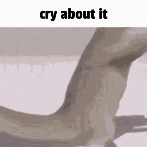 Dancing Lizard Cry About It GIF