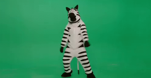 Dancing Mascot Zebra Green Screen GIF