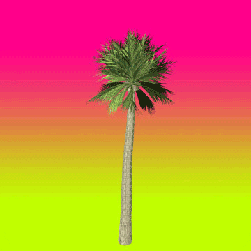 Dancing Miami Styled Palm Tree Vector Art GIF