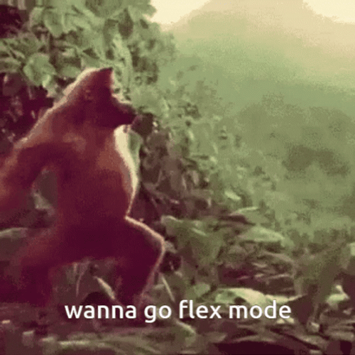 Dancing Monkey Wanna Go Flex Mode GIF