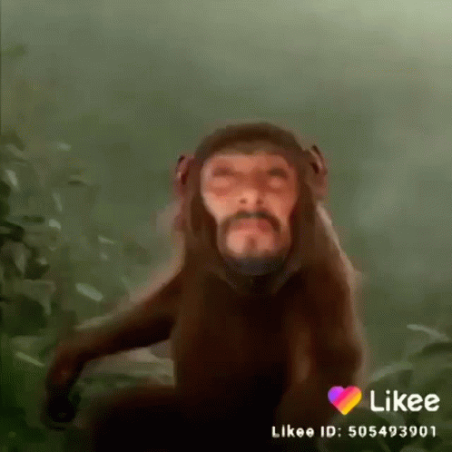 Dancing Monkey With Human Face GIF