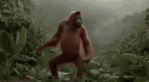 Dancing Orangutan In The Forest GIF