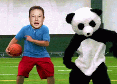 Dancing Panda Mascot With Elon Musk Face Man GIF