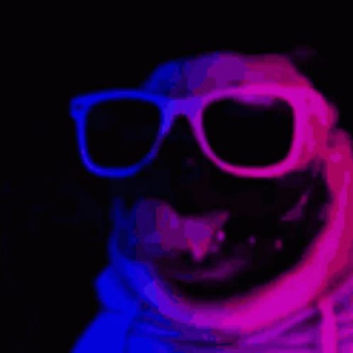 Dancing Pug Dog In The Dark Wearing Shades GIF