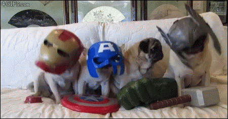 Dancing Pug Dog Super Hero GIF