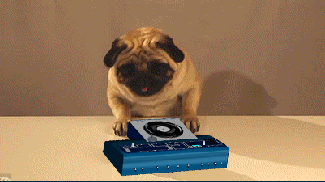 Dancing Pug Dog With Music Disc GIF