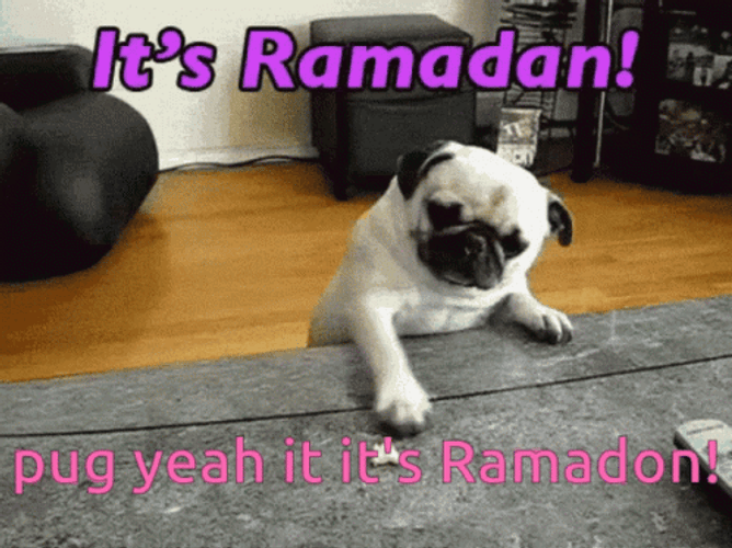 Dancing Pug Its Ramadan GIF
