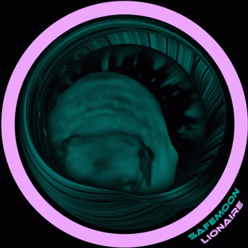 Dancing Pug On Round Frame GIF