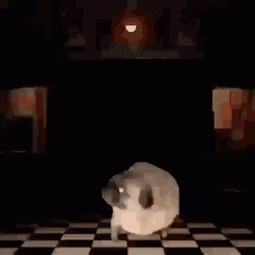 Dancing Pug To Fnaf Music Box GIF