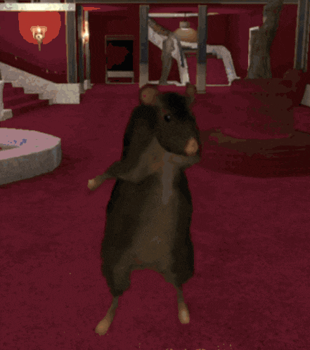 Dancing Rat Dance Gif GIF