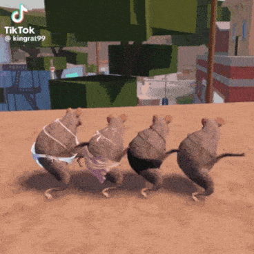 Dancing Rats Roblox Dance Gif GIF