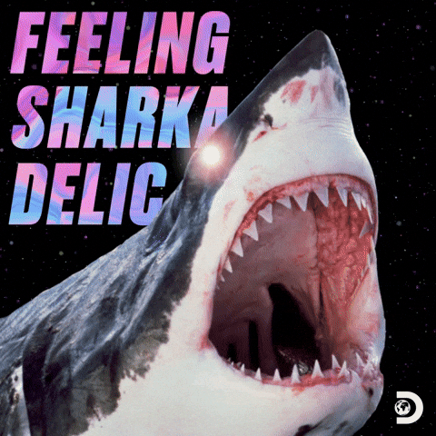 Dancing Shark Blowing Gas GIF