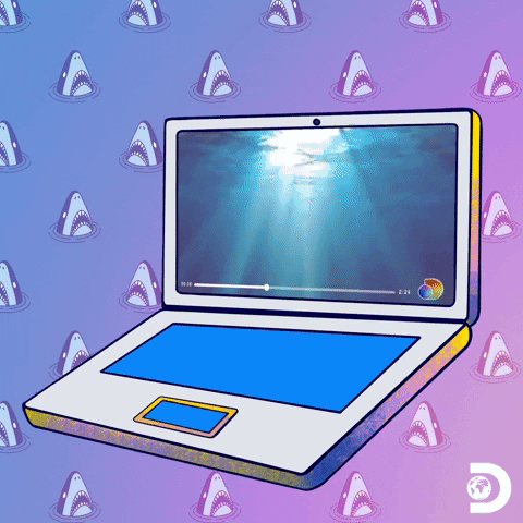 Dancing Shark Dive From The Laptop GIF