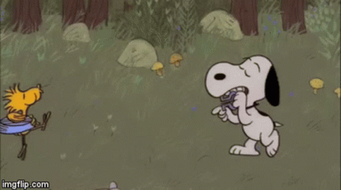 Happy Dancing Snoopy And Woodstock GIF