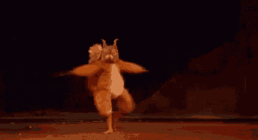 Dancing Squirrel Gif GIF