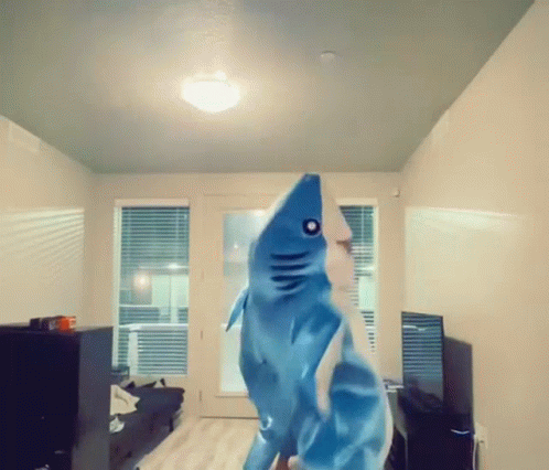 Dancing Twins Baby Shark GIF
