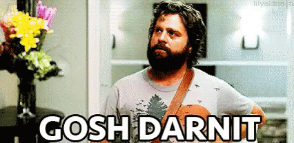 Dang Funny Man Zach Galifianakis GIF