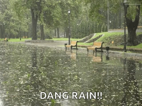 Dang Rain Flooded Park GIF