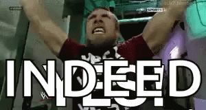 Daniel Bryan Yes Hallway Scream Indeed GIF